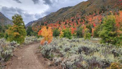 Prospector View Trail