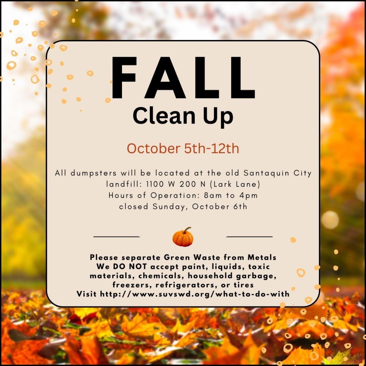 Fall clean up